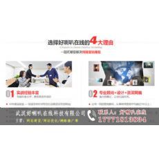 武漢網(wǎng)站設(shè)計(jì)