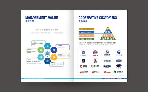 成都科技畫冊設計 互聯網畫冊 天宏訊聯畫冊