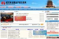 武漢網站設計與優化推廣 一站式網絡宣傳解決方案